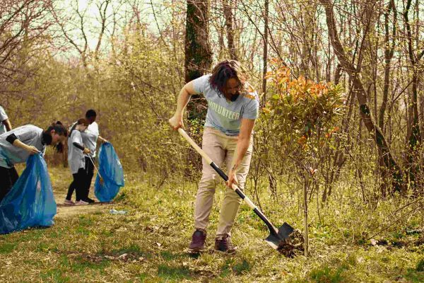 Crushing Garden Waste: The Science of Greener Grounds and Cleaner Processes