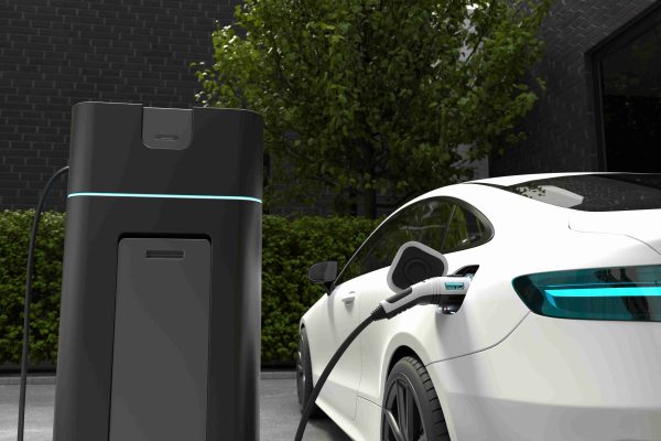 How Worm Gears Enhance Electric Utility Vehicle Engineering?