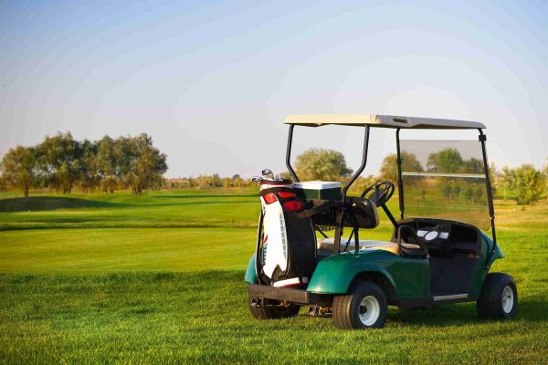 How Do Golf Carts and Branded Vehicle Suppliers Shape Modern Mobility?