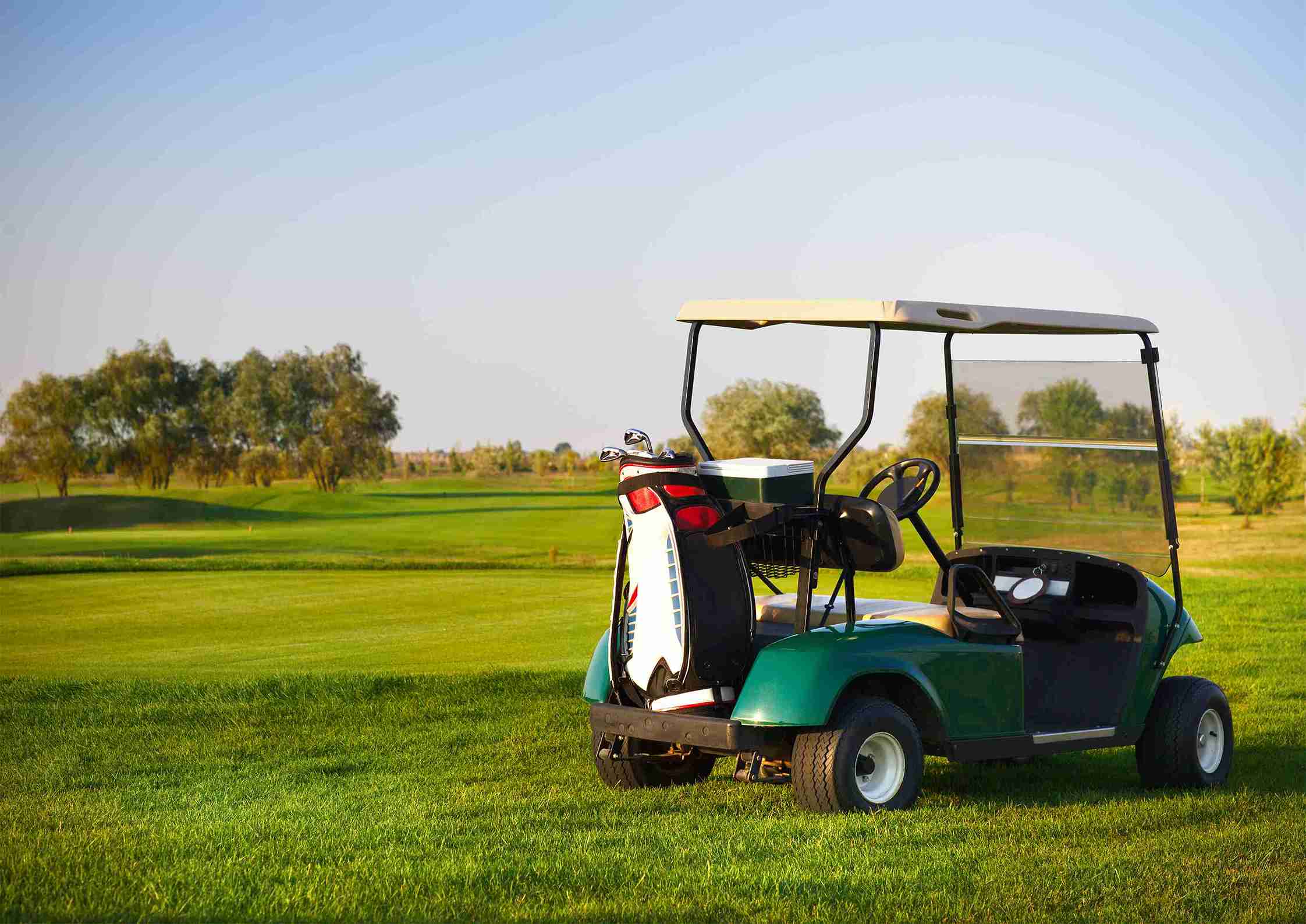 How Do Golf Carts and Branded Vehicle Suppliers Shape Modern Mobility?
