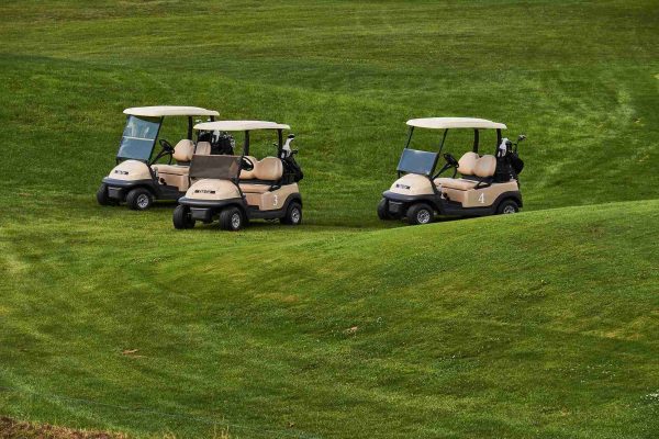 How to Wrap a TPU/PPF Paint Protection Film on a UTV Golf Cart?